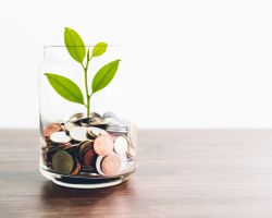 Glas mit Münzen und kleinem Spross